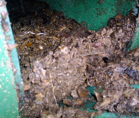 Decomposition Process